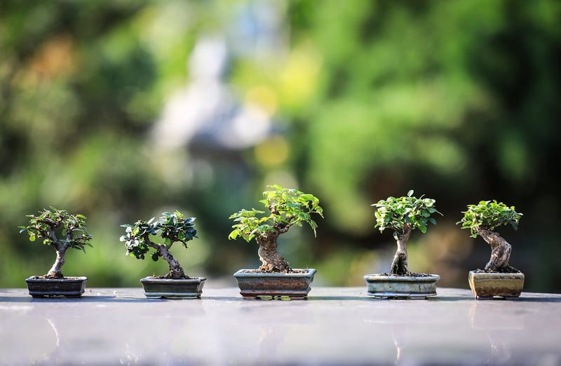 Garden Design
